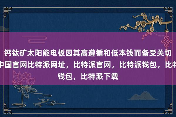 钙钛矿太阳能电板因其高遵循和低本钱而备受关切比特派中国官网比特派网址，比特派官网，比特派钱包，比特派下载