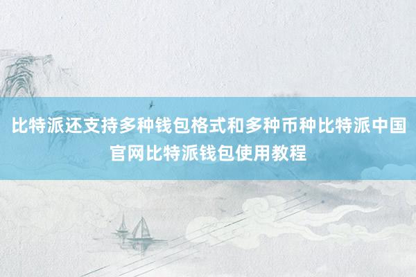 比特派还支持多种钱包格式和多种币种比特派中国官网比特派钱包使用教程