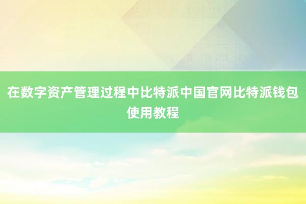 在数字资产管理过程中比特派中国官网比特派钱包使用教程