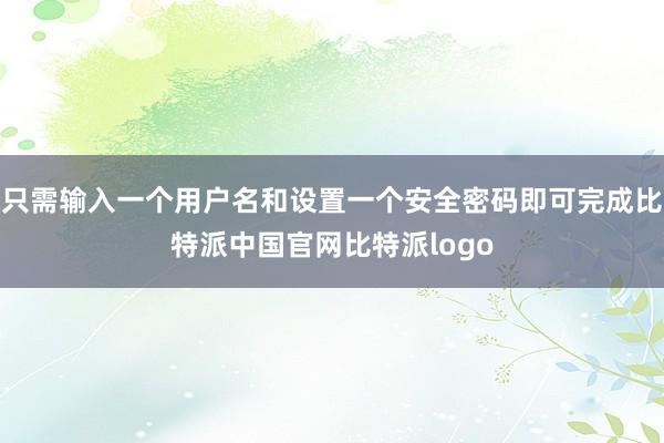 只需输入一个用户名和设置一个安全密码即可完成比特派中国官网比特派logo