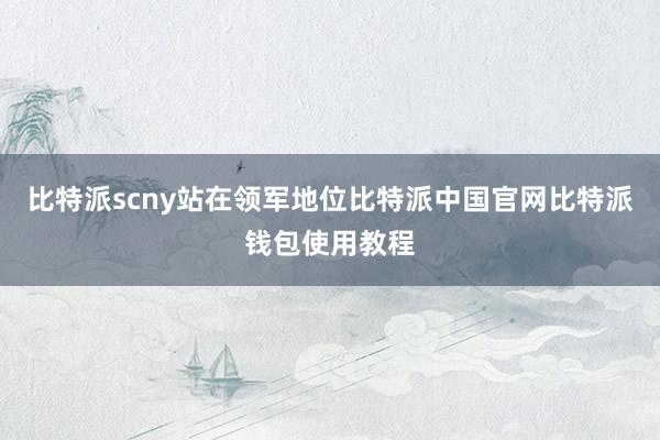 比特派scny站在领军地位比特派中国官网比特派钱包使用教程