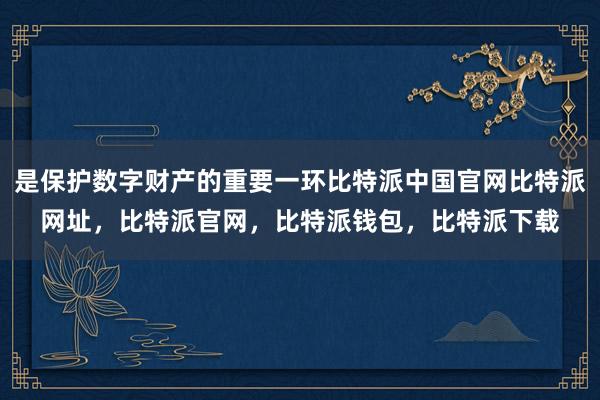 是保护数字财产的重要一环比特派中国官网比特派网址，比特派官网，比特派钱包，比特派下载