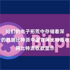 咱们的电子拓荒中存储着深广可贵的数据比特派中国官网比特派收款